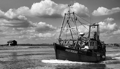 密钥商城正规的网站攻击工具手机版