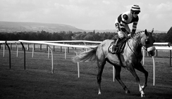 服务器攻击软件