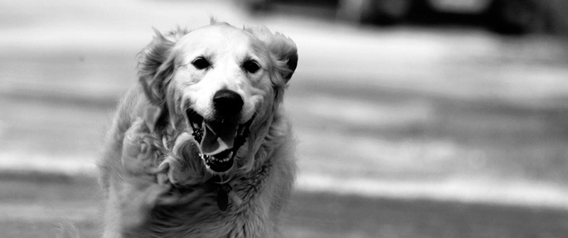 点亮商业未来的免费ddos防火墙